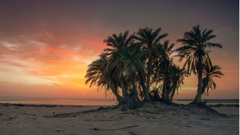 شاطئ ام باب قطر أحد شواطئ قطر للعائلات الجميلة.