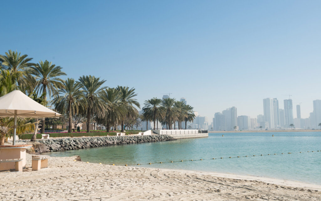 شاطئ الصفوح دبي شواطئ السباحة في دبي