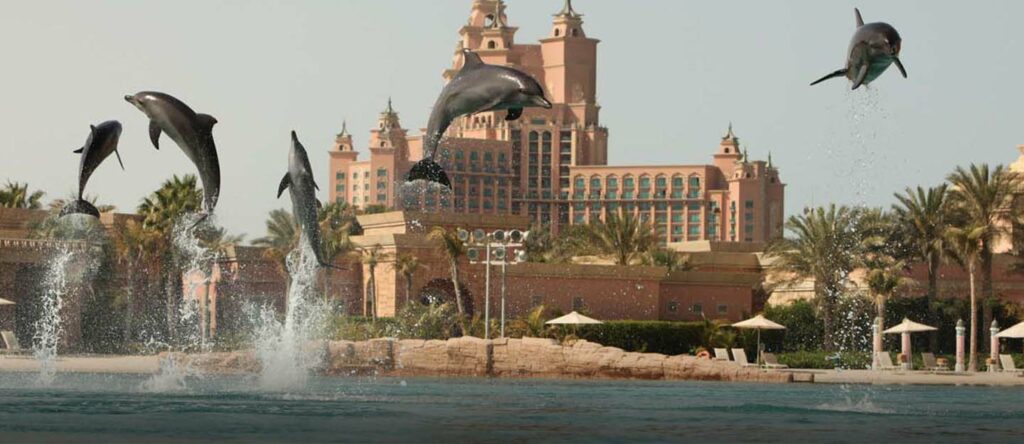 خليج الدلافين أهم المعالم في دبي