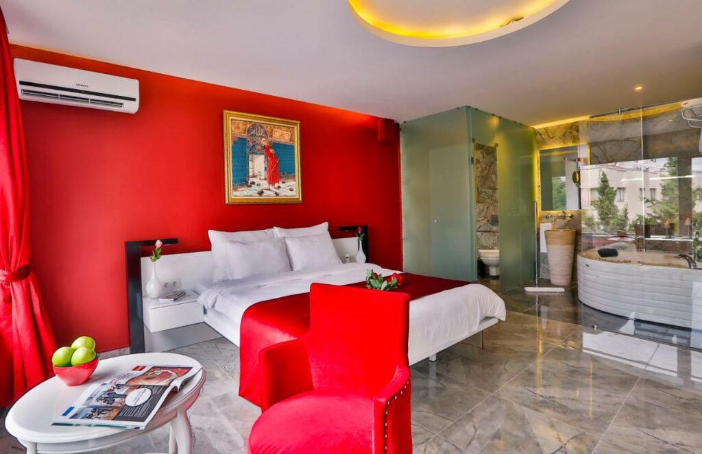 فنادق في أورتاكوي إسطنبول فندق بيليزا أورتاكوي.