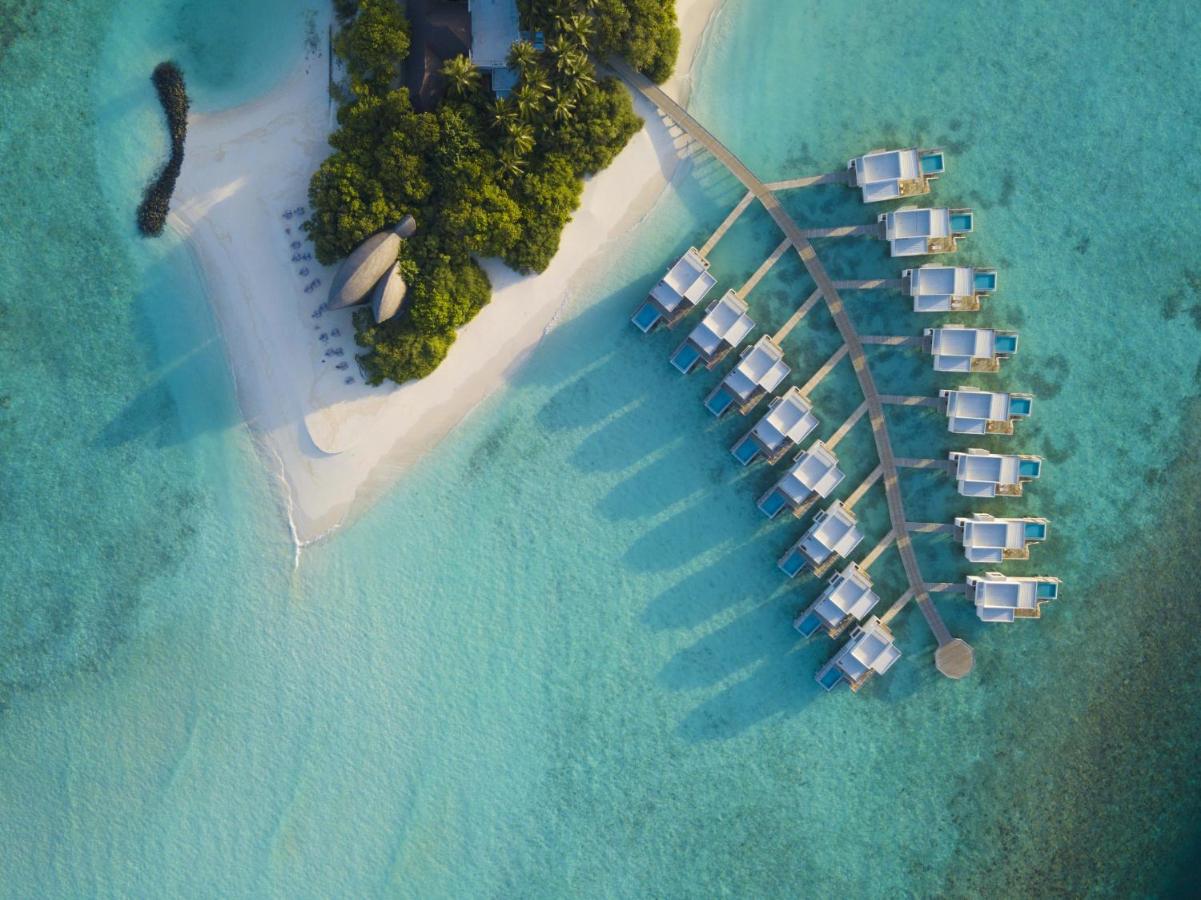 منتجع ديغالي المالديف هو أحد أفضل فنادق المالديف مع مسبح خاص